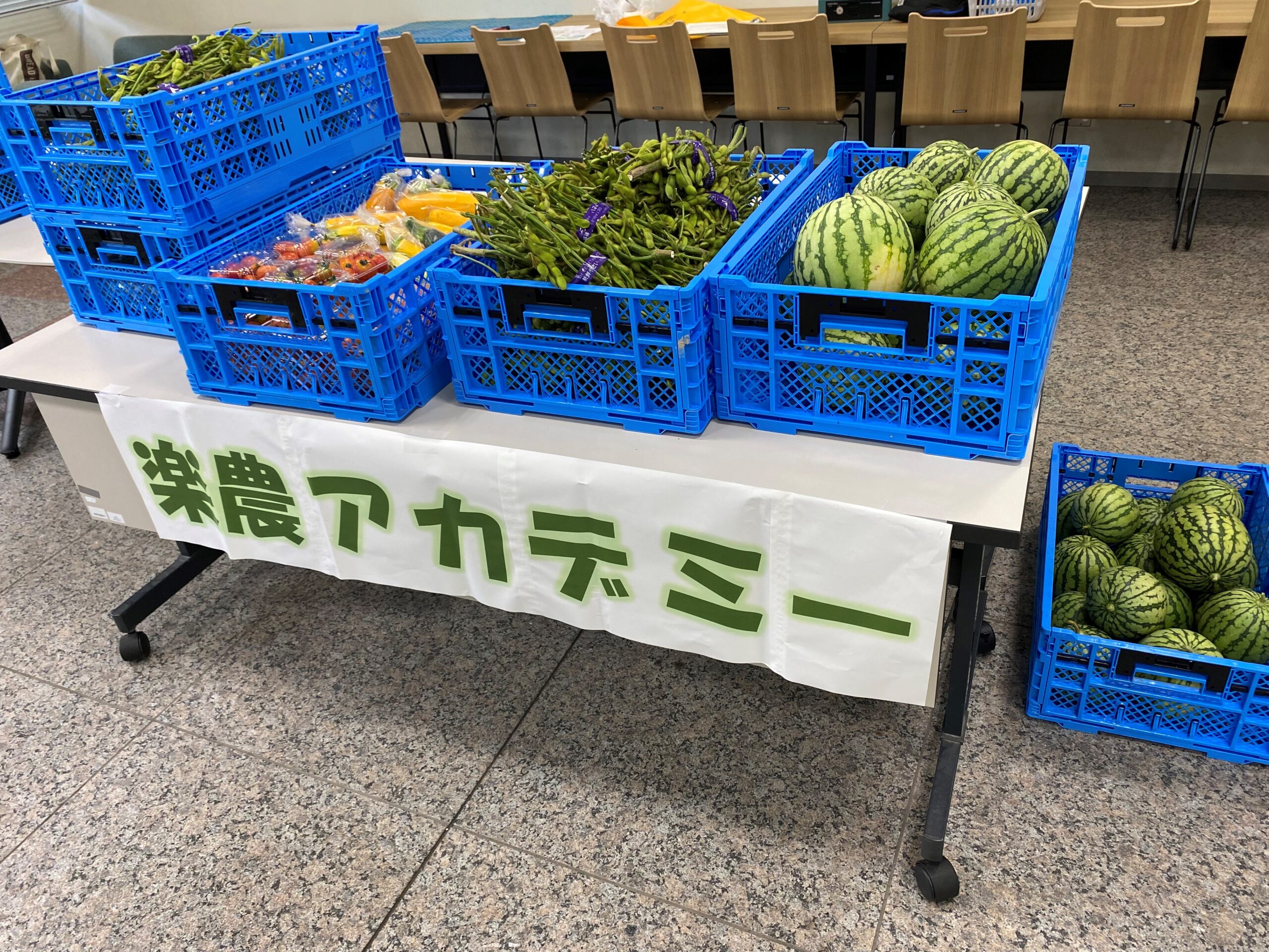 「楽農アカデミー」受講生が有瀬キャンパス内で「楽農マルシェ」として夏野菜の販売を行いました